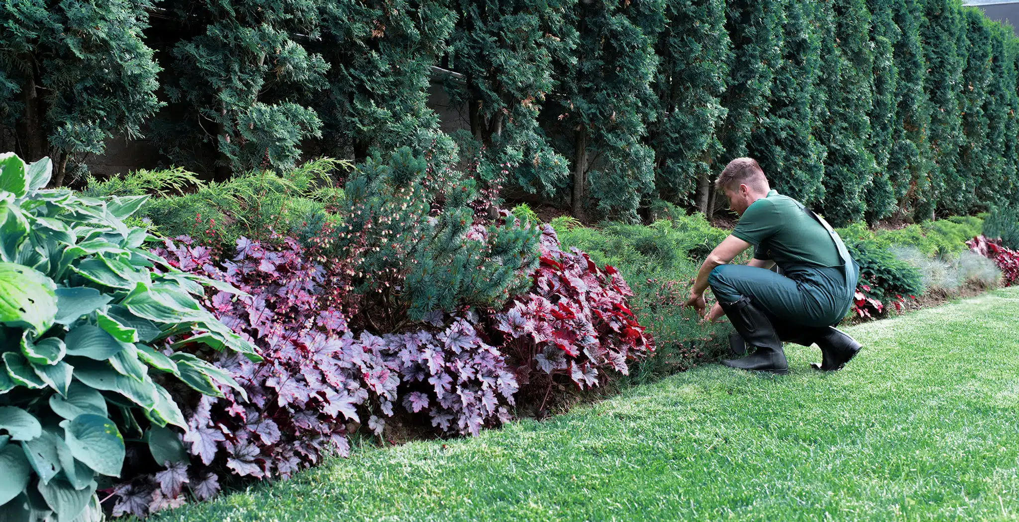 gardening gardening
